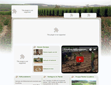 Tablet Screenshot of eucaflorareflorestamento.com.br